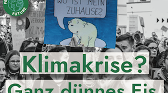 Weltweiter Klimastreik geplant - In Freiburg könnte größte Demo aller Zeiten stattfinden